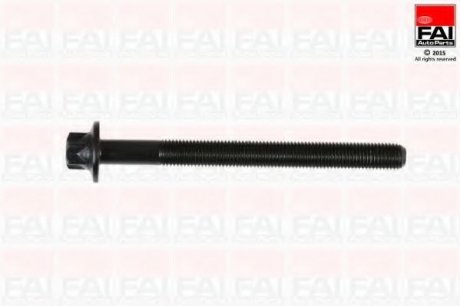 Комплект болтов ГБЦ Opel/Renault 2.2DCI/2.5DCI Fischer Automotive One (FA1) b896