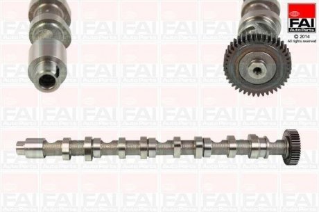 Купить Распределительный вал EX Audi A5 2.0 Tdi 08-/Skoda Fabia 1.6 Tdi 10-14/VW Golf Vi 2.0 Tdi 10-13 Volkswagen Passat, Seat Leon, Volkswagen Transporter, Multivan, Golf, Skoda Octavia, Volkswagen Jetta, Skoda Superb, Yeti, Audi A6, A1 Fischer Automotive One (FA1) c348 (фото1) подбор по VIN коду, цена 5169 грн.