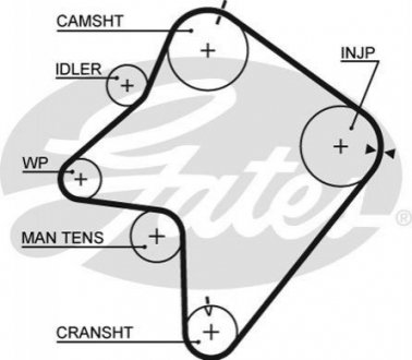 Пасс ГРМ с длиной круга более 60 см, но не более 150см Mazda 626 Gates 5354XS