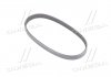 Купити Ремінь генератора Ford Mondeo I/II 1.8TD 93-00 Ford Mondeo Gates 5PK580 (фото1) підбір по VIN коду, ціна 304 грн.