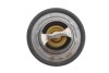 Купить Термостат Duster/Logan/Clio/Kangoo/Megane I, II, III 1,4/1.6/2.0i 98- (88 C) Renault Kangoo, Dacia Logan, Renault Megane, Clio, Laguna, Sandero, Espace, Dacia Duster, Renault Scenic, Trafic, Opel Vivaro Gates th23389g1 (фото1) подбор по VIN коду, цена 396 грн.