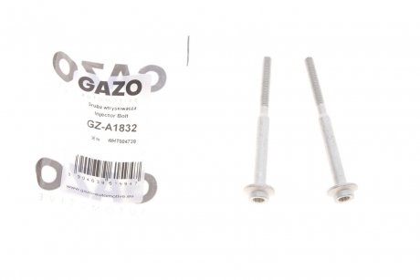 Болт кріплення форсунки VW Caddy/T5 2.0TDI 10- (к-кт 2шт.) GAZO gz-a1832
