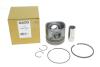 Купить Поршень Citroen Jumper II/Peugeot Boxer 2.2HDi 06- (86.00mm/STD) GAZO gz-f1684 (фото6) подбор по VIN коду, цена 2964 грн.