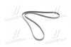 Купити Ремінь приводний поліклінової DAEWOO/CHEVROLET MALIBU, CAMARO, COLORADO (GM 12664598 (фото3) підбір по VIN коду, ціна 870 грн.