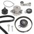 Купити Комплект ГРМ + помпа Skoda Fabia/Octavia 00-13/VW Caddy/Golf/Polo 1.4 16V 99-08 (20x130z/17x58z) (PA674) Skoda Octavia, Seat Ibiza, Volkswagen Golf, Bora, Seat Cordoba, Audi A2, Skoda Fabia, Volkswagen Polo, Seat Leon, Toledo, Volkswagen Caddy GRAF kp674-1 (фото1) підбір по VIN коду, ціна 5004 грн.