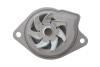 Купити Комплект ГРМ + помпа Skoda Fabia/Octavia 00-13/VW Caddy/Golf/Polo 1.4 16V 99-08 (20x130z/17x58z) (PA674) GRAF kp674-1 (фото16) підбір по VIN коду, ціна 5194 грн.