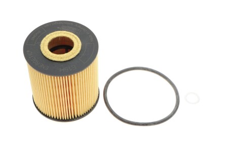 Фильтр масляный BMW 3/5/7/X5 2.5-3.0 D 98- BMW E38, E39, X5, E46, Opel Omega, Land Rover Range Rover, BMW E90 HENGST FILTER e15H D59