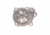 Купити Помпа води Opel Astra F/G 1.7TDS/DTI 91-05/Corsa B/Combo 1.7D 94-01/Vectra A/B 1.7TD 90-98 Opel Vectra, Astra, Combo, Corsa HEPU p341 (фото4) підбір по VIN коду, ціна 1410 грн.