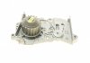 Купити Помпа води Renault Kangoo 01-/Logan 04-/Megane 99-/Dokker 12- 1.6/16V (20z) Renault Megane, Kangoo, Dacia Logan, Renault Fluence, Scenic, Clio, Laguna, Dacia Duster, Renault Sandero, Grand Scenic, Nissan Kubistar HEPU p842 (фото6) підбір по VIN коду, ціна 1622 грн.