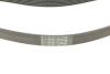 Купити Комплект ГРМ + помпа Citroen C1/C3/C4/Peugeot 2008/208/301 1.2 12-(118x16)(-AC) HEPU pk09081 (фото8) підбір по VIN коду, ціна 7593 грн.