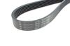 Купити Ремінь генератора VW LT 2.8TDI 96KW/Ford Transit 2.0DI 00-14 (6PK1642) HUTCHINSON 1642 K 6 (фото2) підбір по VIN коду, ціна 541 грн.