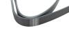 Купити Ремінь генератора VW LT 2.8TDI 96KW/Ford Transit 2.0DI 00-14 (6PK1642) HUTCHINSON 1642 K 6 (фото3) підбір по VIN коду, ціна 541 грн.
