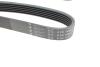 Купити Ремінь генератора Renault Megane I/Ford Transit 2.0 94-00 (6PK1650) HUTCHINSON 1650 K 6 (фото2) підбір по VIN коду, ціна 464 грн.