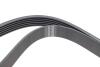 Купити Ремінь генератора Renault Megane I/Ford Transit 2.0 94-00 (6PK1650) HUTCHINSON 1650 K 6 (фото3) підбір по VIN коду, ціна 464 грн.