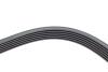 Купити Ремінь генератора Renault Megane I/Ford Transit 2.0 94-00 (6PK1650) HUTCHINSON 1650 K 6 (фото4) підбір по VIN коду, ціна 464 грн.