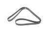 Купити Ремінь генератора Renault Megane I/Ford Transit 2.0 94-00 (6PK1650) HUTCHINSON 1650 K 6 (фото5) підбір по VIN коду, ціна 464 грн.