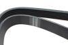 Купити Ремінь генератора Fiat Scudo/Citroen Berlingo/VW Golf IV 1.8/1.9TDI 97- (6PK1660) HUTCHINSON 1660 K 6 (фото2) підбір по VIN коду, ціна 455 грн.