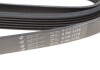 Купити Ремінь генератора MB W202/210 M111/Ford Transit 2.301-06 (6PK1775) Mercedes W202, Ford Fiesta, Mercedes CLK-Class, S202, S210, W210, Toyota Corolla, Mercedes W203, Mitsubishi Lancer, Mercedes S203, Ford Transit HUTCHINSON 1775 K 6 (фото5) підбір по VIN коду, ціна 525 грн.