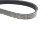 Купить Ремень поликлиновой 6PK2498 KIA Carnival, Sorento HUTCHINSON 2498 K 6 (фото3) подбор по VIN коду, цена 539 грн.