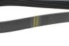 Купити Ремінь генератора Land Rover Defender 2.2Td4 11-16/Nissan Navara/Pathfinder 3.0dCi 10- (7PK2670) HUTCHINSON 2670 K 7 (фото3) підбір по VIN коду, ціна 1004 грн.