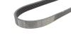 Купити Ремінь генератора Citroen Berlingo/Jumper/Jumpy/Fiat Ducato/Scudo/Peugeot Boxer/Expert (6PK722) HUTCHINSON 722 K 6 (фото2) підбір по VIN коду, ціна 251 грн.