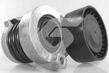 Купити Натяжний механізм Renault Megane, Kangoo, Fluence, Twingo, Dacia Duster, Renault Scenic, Grand Scenic, Dacia Logan, Renault Clio, Logan, Laguna HUTCHINSON t0693 (фото1) підбір по VIN коду, ціна 2450 грн.