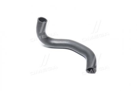 Патрубок радиатора нижний (25412-1R000) Hyundai/Kia/Mobis 254121R000