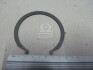 Купити Кільце стопорне маточини передньої HYUNDAI Hyundai/Kia/Mobis 517182D020 (фото1) підбір по VIN коду, ціна 479 грн.