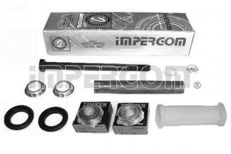 Ремкомплект важеля (заднього/поперечного))) Fiat Punto/Citroen C5 93- IMPERGOM 40020