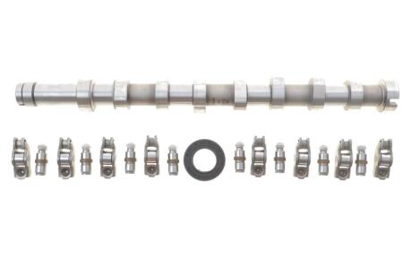 Комплект розподільчого валу Citroen Berlingo/Peugeot Partner 1.6HDi 08- INA 428 0056 30