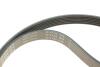 Купити Комплект ременя генератора BMW 1 (E87/E88)/3 (E46/E90)/5 (E60) 1.6-2.0 01-10, N46B20, (6PK1870) INA 529 0044 10 (фото4) підбір по VIN коду, ціна 3616 грн.