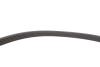 Купить Комплект ремня генератора Renault Megane/Scenic 00-09, (5PK1750) INA 529 0082 10 (фото9) подбор по VIN коду, цена 4028 грн.