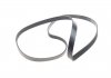 Купити Комплект ременя генератора Opel Astra/Vectra 89-02 (6PK1725) Opel Vectra, Astra, Frontera, Omega INA 529 0095 10 (фото4) підбір по VIN коду, ціна 1707 грн.