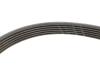 Купити Комплект ременя генератора Nissan Note/Qashqai 1.5 dCi 11- (6PK 1195) INA 529 0117 10 (фото3) підбір по VIN коду, ціна 2349 грн.