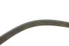 Купить Комплект ремня генератора Citroen C4, Peugeot 508, Citroen C8, Peugeot 807, Citroen DS4, DS5, Peugeot Expert, Citroen Jumpy, Peugeot 5008, 407, Citroen C5 INA 529 0291 10 (фото2) подбор по VIN коду, цена 2308 грн.