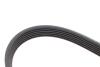 Купити Комплект ременя генератора Citroen Berlingo/Jumpy/Peugeot Expert/Partner 1.6 HDi 08- INA 529 0335 10 (фото3) підбір по VIN коду, ціна 1597 грн.