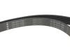 Купити Комплект ременя генератора Renault Megane II 2.0 dCi 05-09 (7PK1705) INA 529 0423 10 (фото7) підбір по VIN коду, ціна 3879 грн.