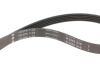 Купити Комплект ременя генератора Renault Trafic 1.9 dCi/2.0 16V 01-, (5PK 1125) INA 529 0427 10 (фото3) підбір по VIN коду, ціна 2587 грн.