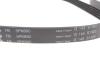 Купить Комплект ремня генератора Ford Focus 2.5 ST 05-12, (5PK890 + 5PK848) INA 529 0477 10 (фото2) подбор по VIN коду, цена 4336 грн.