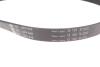 Купить Комплект ремня генератора Ford Focus 2.5 ST 05-12, (5PK890 + 5PK848) INA 529 0477 10 (фото3) подбор по VIN коду, цена 4336 грн.