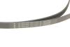 Купити Комплект ременя генератора BMW X1 (F48) 15- B38 A15 INA 529 0516 20 (фото4) підбір по VIN коду, ціна 6019 грн.