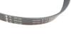 Купить Комплект ремня генератора Peugeot 306, Citroen Berlingo, KIA Picanto, Peugeot Partner, Citroen Xsara, Opel Zafira, Vectra, Citroen SAXO, Hyundai I10, Mercedes W177, W247 INA 529 0544 10 (фото14) подбор по VIN коду, цена 5143 грн.