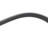 Купить Комплект ремня генератора Peugeot 306, Citroen Berlingo, KIA Picanto, Peugeot Partner, Citroen Xsara, Opel Zafira, Vectra, Citroen SAXO, Hyundai I10, Mercedes W177, W247 INA 529 0544 10 (фото15) подбор по VIN коду, цена 5143 грн.