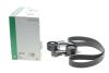 Купить Комплект ременя генератора BMW 3 (G20/G80/G28)/5 (G30/F90) 2.0DH 19- B47 (8PK1162) INA 529 0568 10 (фото2) подбор по VIN коду, цена 7687 грн.