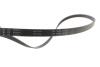 Купити Комплект ременя генератора BMW 3 (F30/F80/G30/F)/5 (G30/F90/G31)/X3 (G01/F97) 2.0 15- B48 KIA Rio, BMW E46, Mitsubishi Pajero INA 529 0579 10 (фото7) підбір по VIN коду, ціна 2456 грн.
