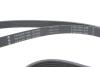 Купити Комплект ременя генератора VW T5/T6 2.0 TDI 09- (6PK 1555) INA 529 0586 10 (фото10) підбір по VIN коду, ціна 2459 грн.