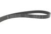 Купить Комплект ременя генератора VW T5/T6 2.0 TDI 09- (6PK 1555) Volkswagen Crafter, Audi Q5, Volkswagen Transporter, Amarok, Audi A4, Volkswagen Passat, Golf, Multivan, Audi A5, Skoda Octavia INA 529 0586 20 (фото13) подбор по VIN коду, цена 3176 грн.