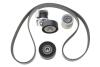Купить Комплект ременя генератора VW T5/T6 2.0 TDI 09- (6PK 1555) Volkswagen Crafter, Audi Q5, Volkswagen Transporter, Amarok, Audi A4, Volkswagen Passat, Golf, Multivan, Audi A5, Skoda Octavia INA 529 0586 20 (фото2) подбор по VIN коду, цена 3176 грн.