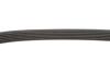 Купити Комплект ременя генератора Renault Kangoo 1.5 dCi 17- (6PK1165), K9K/OM608.915 INA 529 0590 10 (фото4) підбір по VIN коду, ціна 3097 грн.