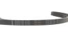 Купить Комплект ременя генератора VW T6 2.0 TDI 15-24 (6PK 1555) INA 529 0591 10 (фото9) подбор по VIN коду, цена 3882 грн.
